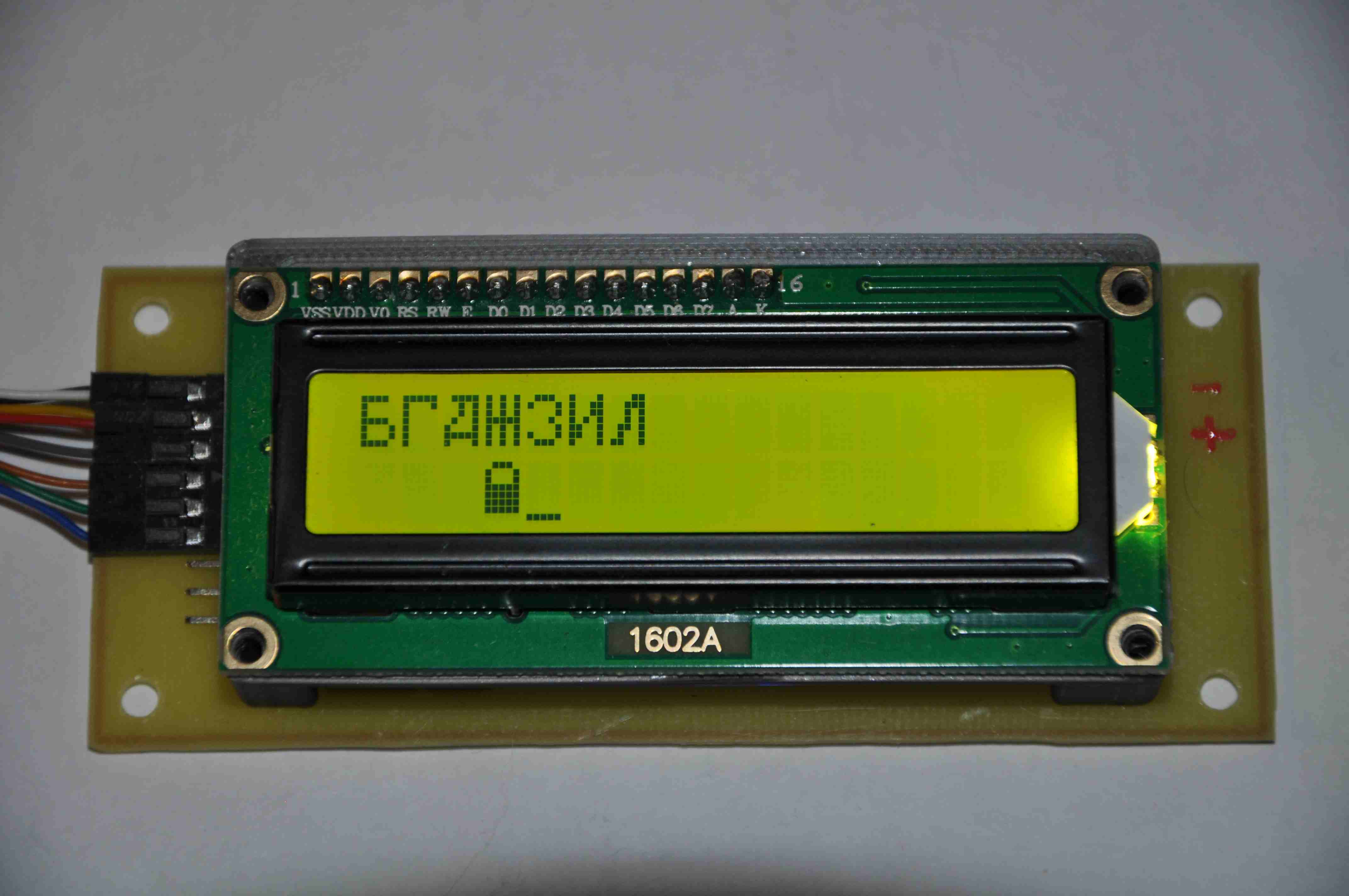 Вид с переди